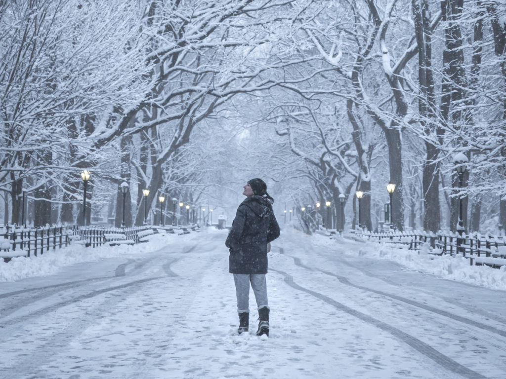 The Mall is one of the most iconic Central Park photo spots, especially when it snows.