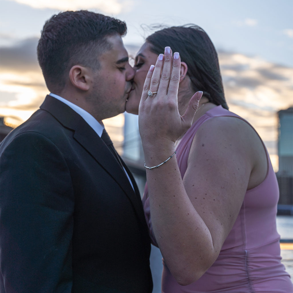 Jane's Carousel Brooklyn engagement.