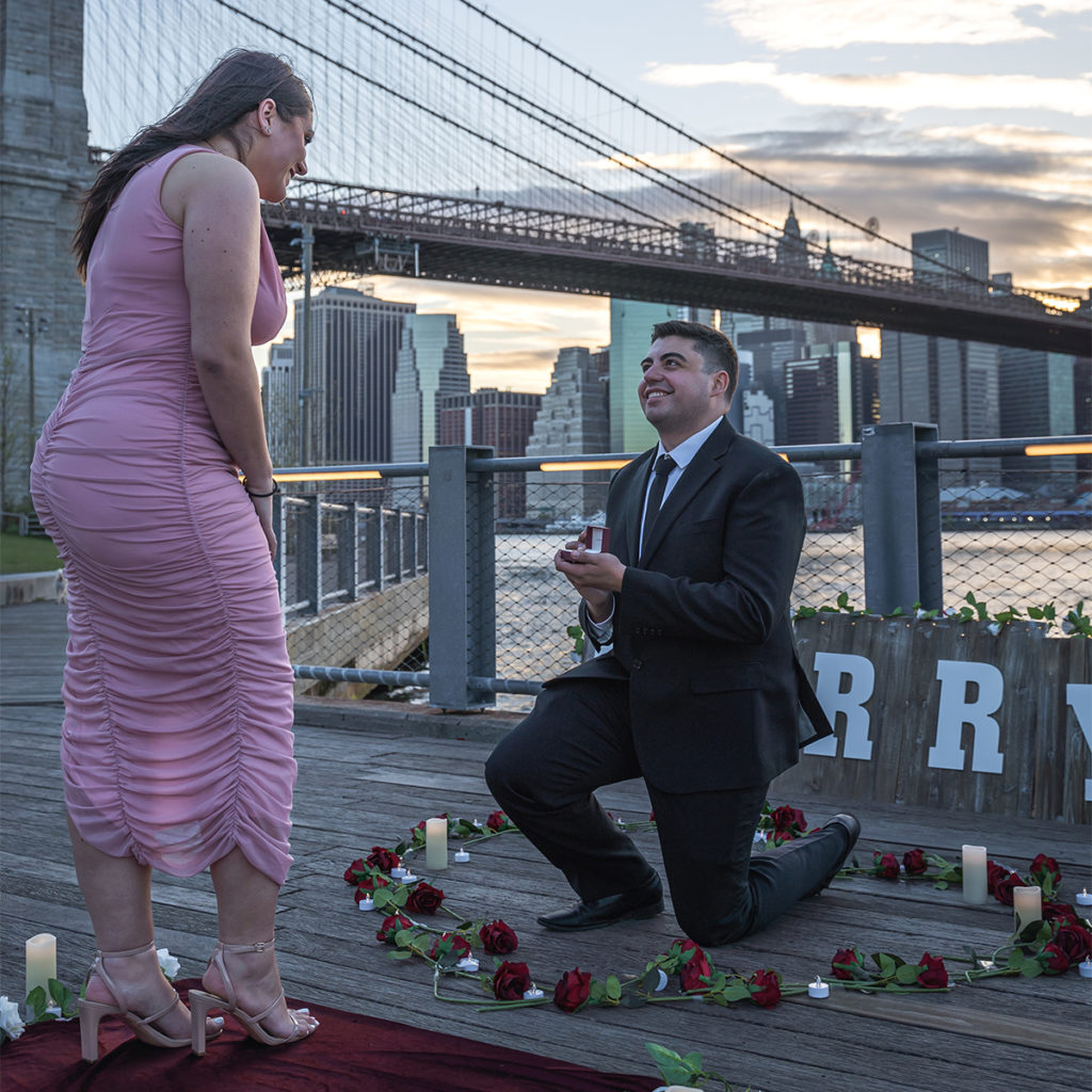 Jane's Carousel Brooklyn proposal.