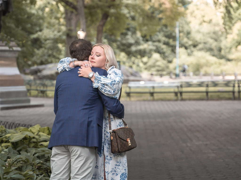 A Central Park proposal at the Mall.