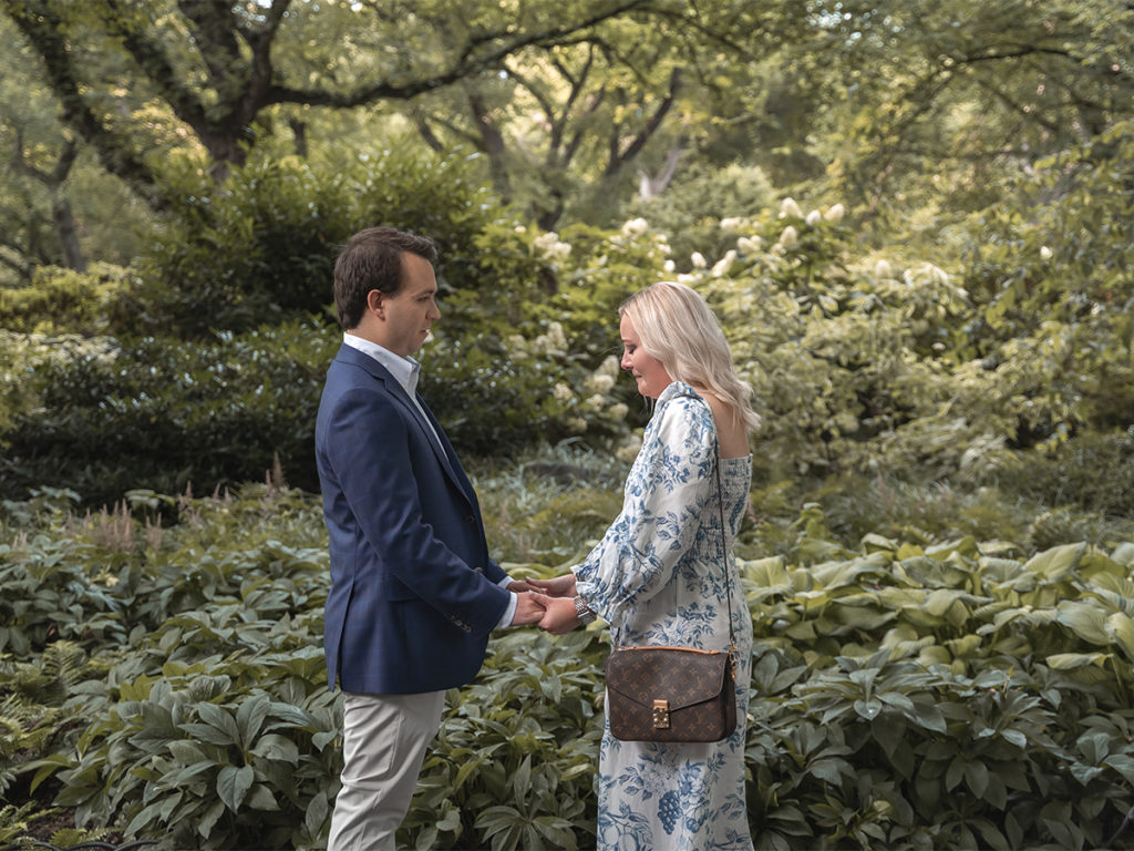 Central Park proposal in the summer at The Mall.