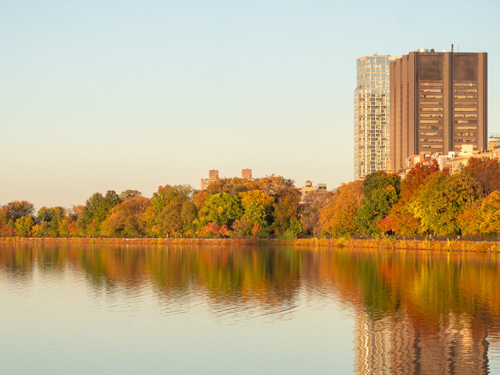 The Jacqueline Kennedy Onassis Reservoir has some of the best Central Park Fall Foliage Photography Spots.