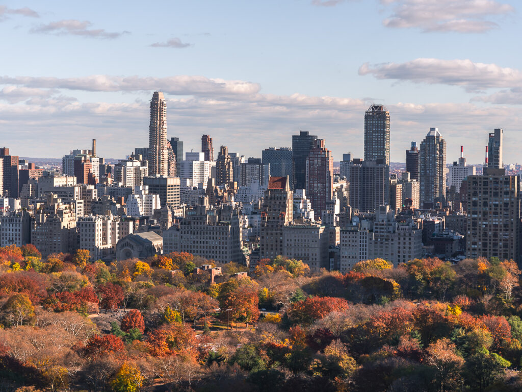 Aerial view of Central Park fall foliage.