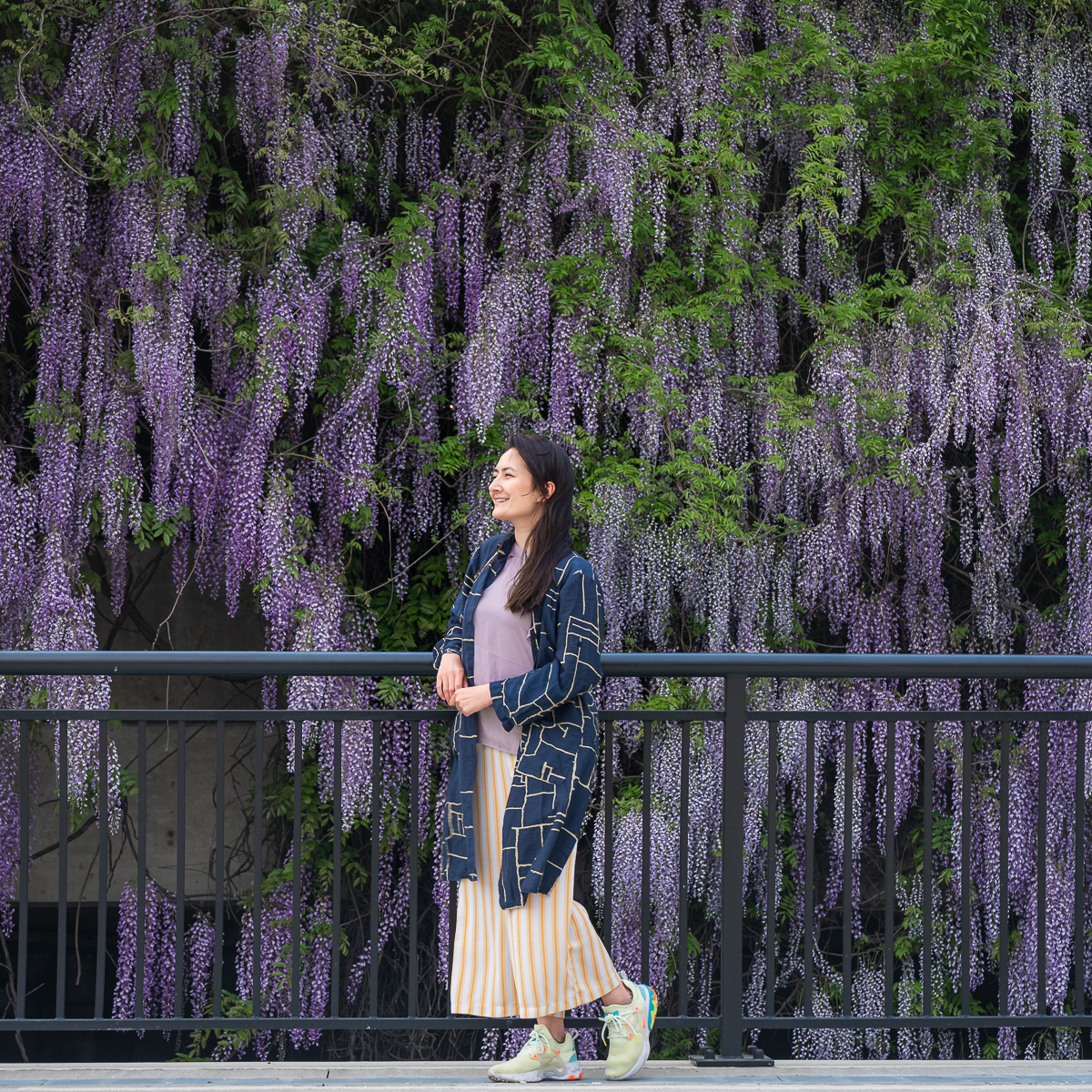 The East Midtown Greenway is a hidden gem on where to find wisteria in nyc.