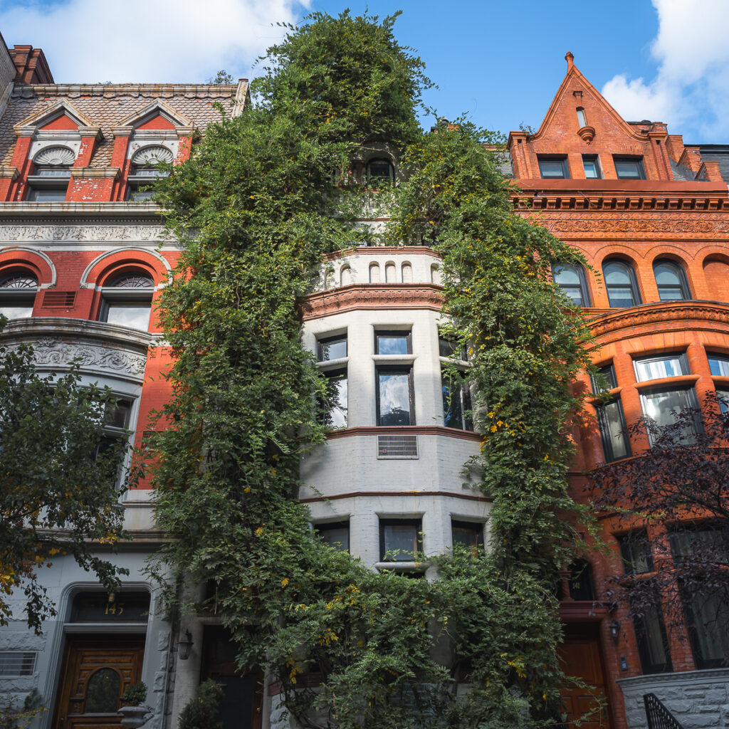 Wisteria vines surround a building in the Upper West Side.