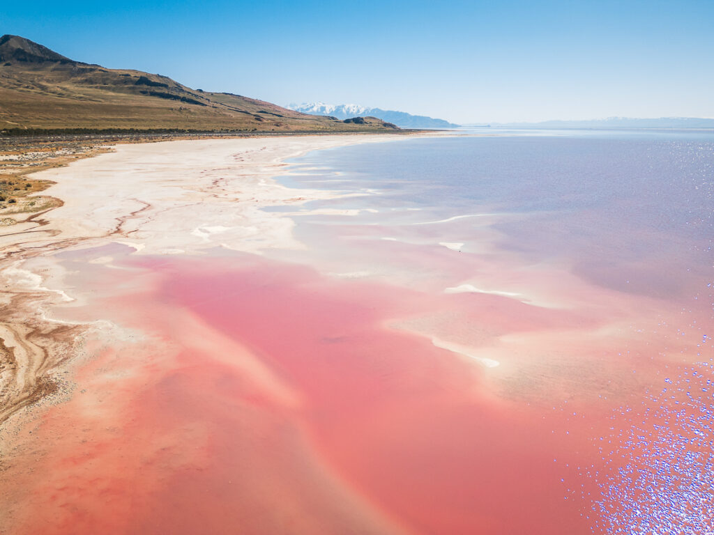 The pink lake in Utah is a hidden gem and should warrant a visit as part of a Salt Lake City 3 day itinerary.