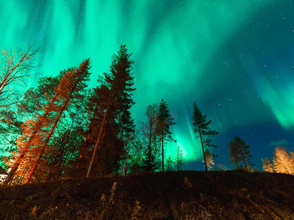 Photographing the Northern Lights above trees in Lapland.