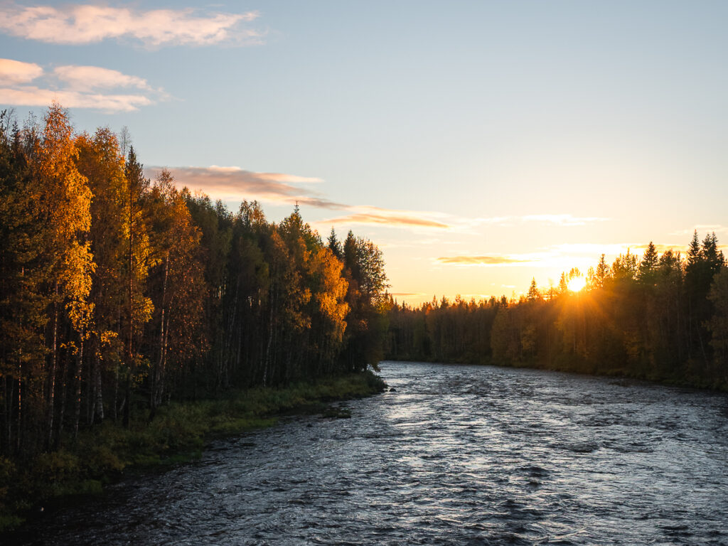 Golden hour fall foliage is a must see during a Rovaniemi 7 day autumn itinerary.