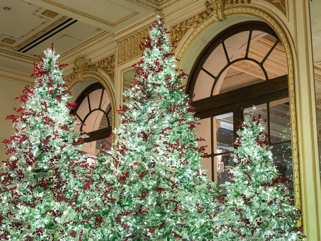 The iconic Plaza Hotel hosts Christmas tree lighting ceremonies in nyc.