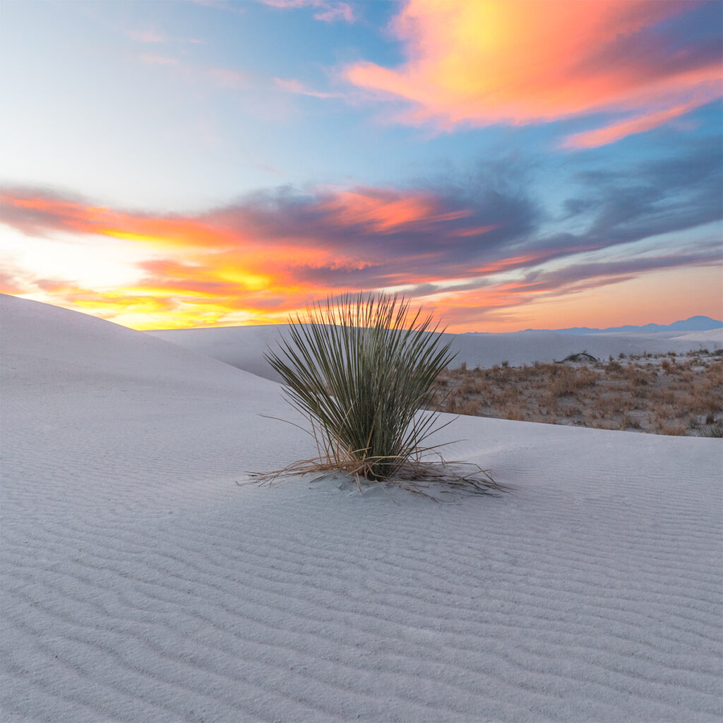 White Sands National Park Photography Tips Niredonahue White Sands National Park Photography Tips Niredonahue