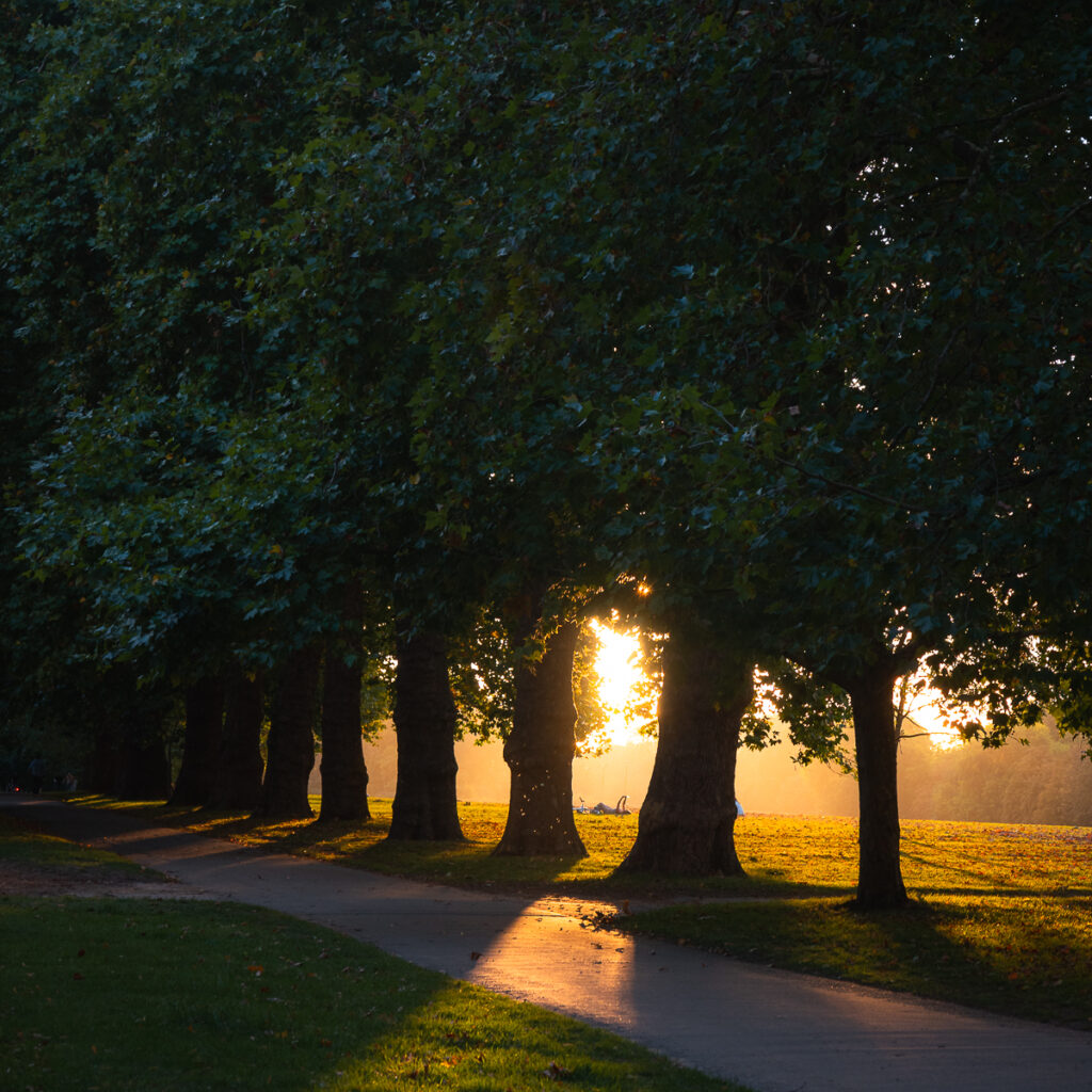 Golden hour at Hyde Park is a 350-acre, historic Grade I-listed urban park in Westminster, Greater London. 