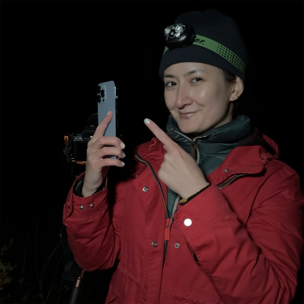 Photograph the Northern Lights on iPhone with Night Mode.