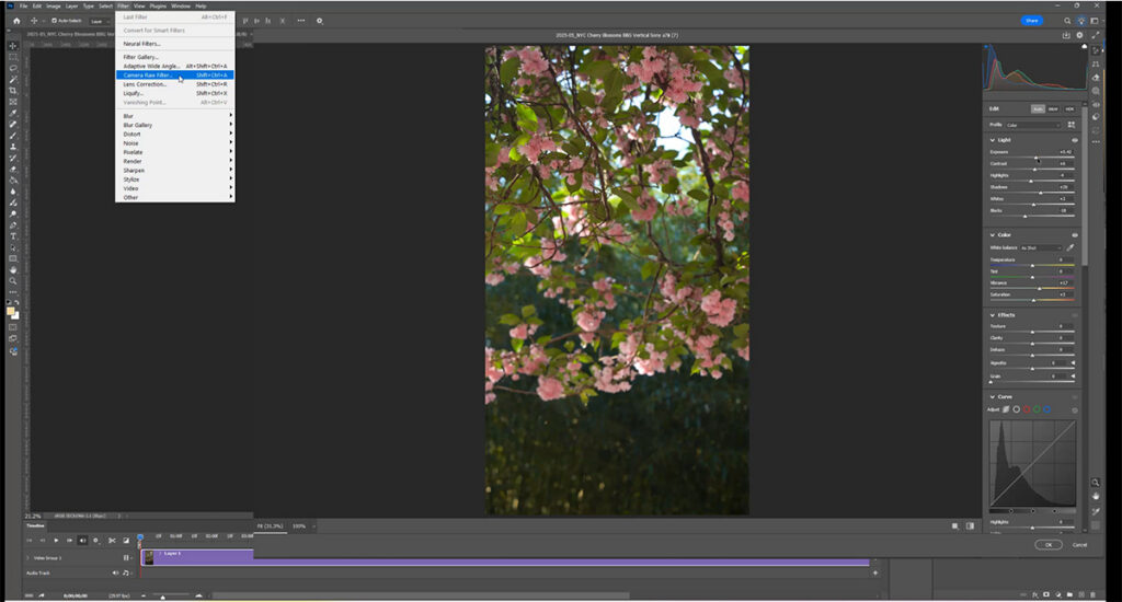 How to make a cinemagraph in Photoshop — applying color edits to a video clip using Filter > Camera Raw Filter