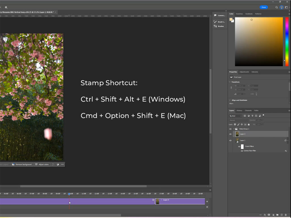 How to make a cinemagraph in Photoshop — Stamp Visible keyboard shortcut.