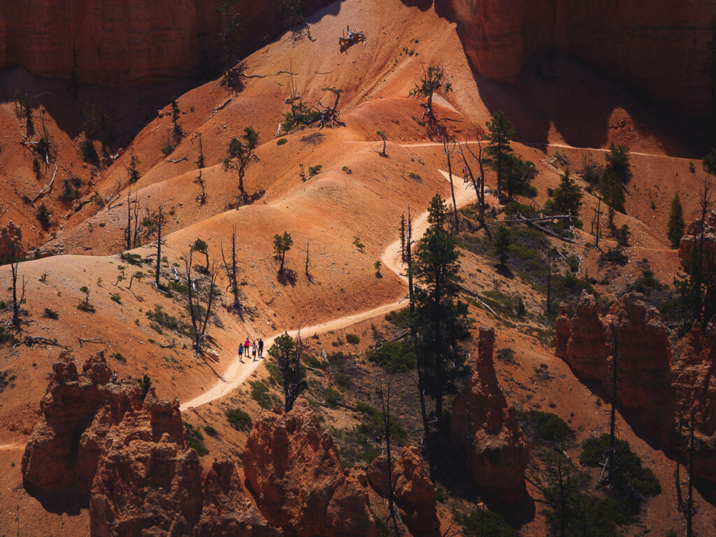 Compression shot of hikers on a winding trail through Bryce Canyon National Park.