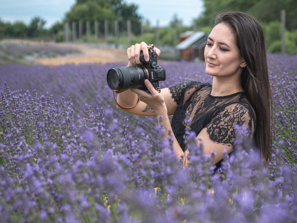 My camera gear in a lavender field include the sony a7iii.