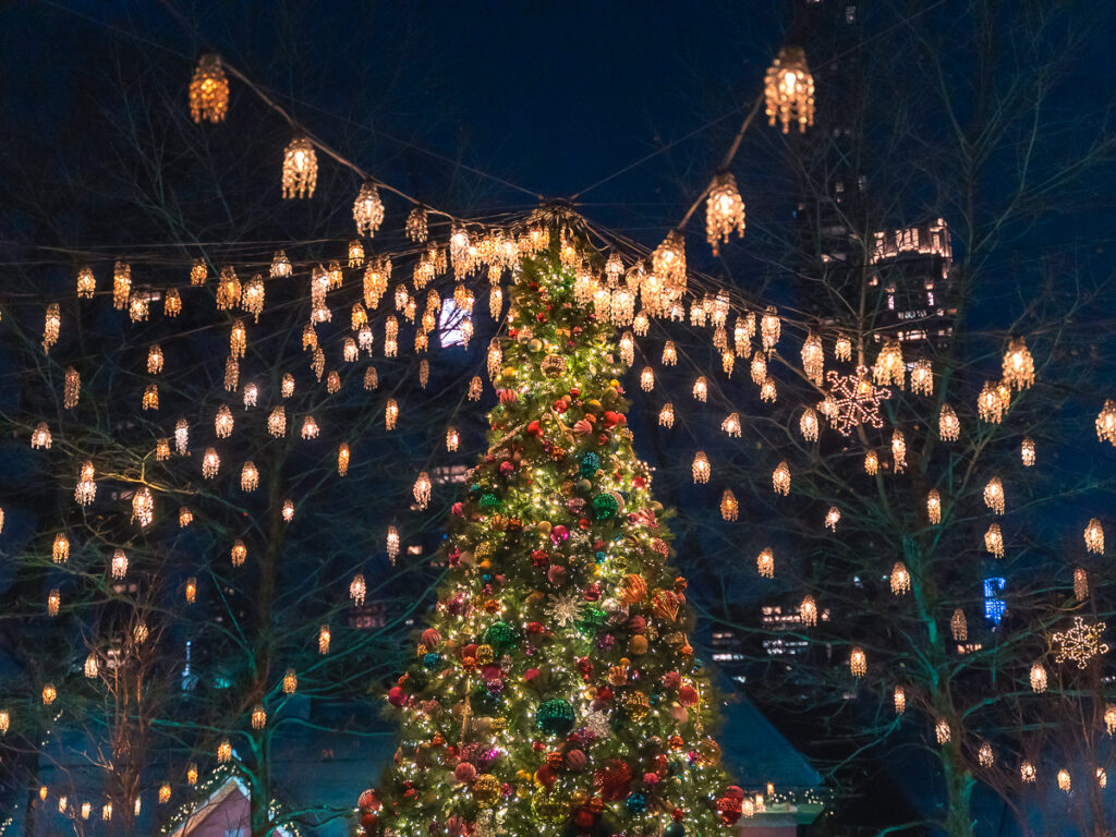 Tavern on the Green has some of the prettiest Christmas lights in NYC.
