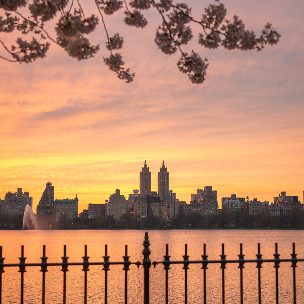All around the Jacqueline Kennedy Onassis Reservoir in Central Park you can walk under cherry blossoms, especially at sunset.