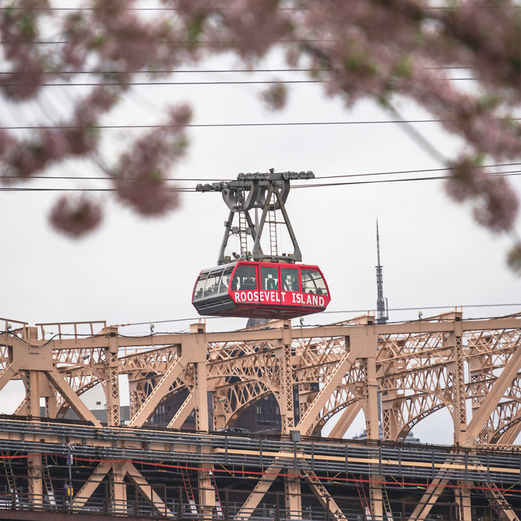 The Roosevelt Island Tram framed by blooming flowers is one of the best places to see cherry blossoms in NYC.