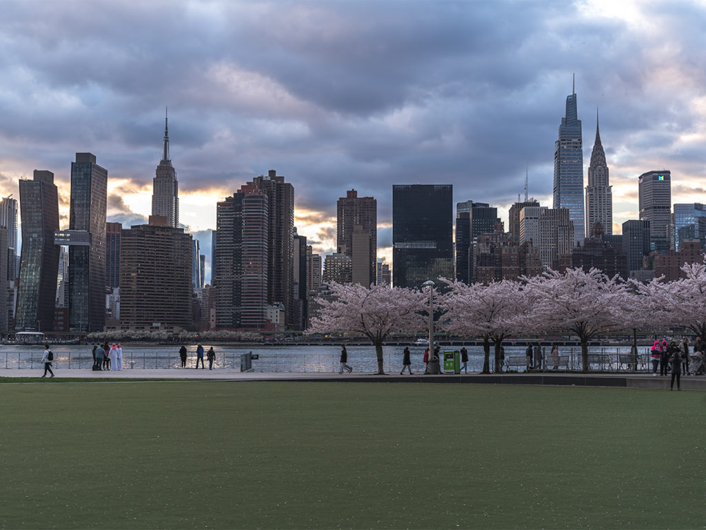 Gantry Plaza State Park is one of the best spots to see cherry blossoms in NYC.