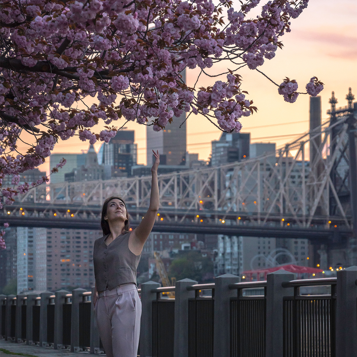 Roosevelt Island is one of the best places to see cherry blossoms in NYC.