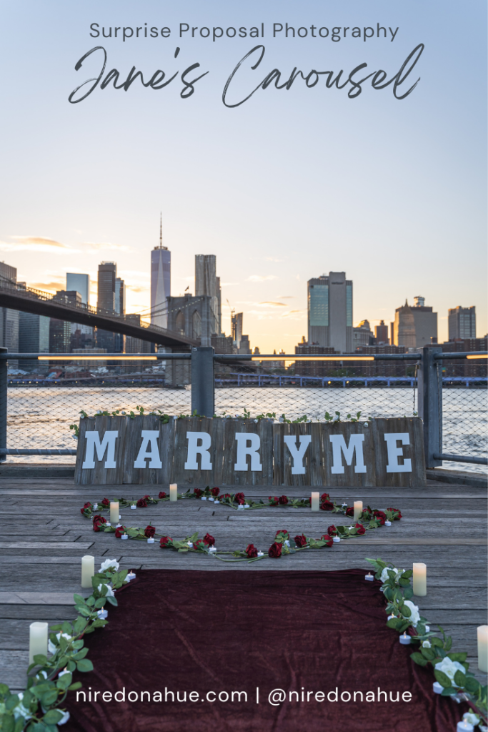 Pinterest pin of Jane's Carousel Brooklyn proposal pictures by Erin Donahue Photography.