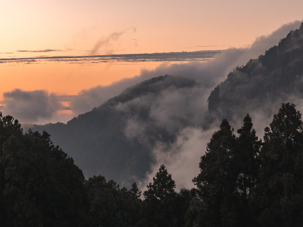 Alishan National Forest is famous for its foggy sunrises and sunsets and is a must visit during a 10 day Taiwan itinerary.