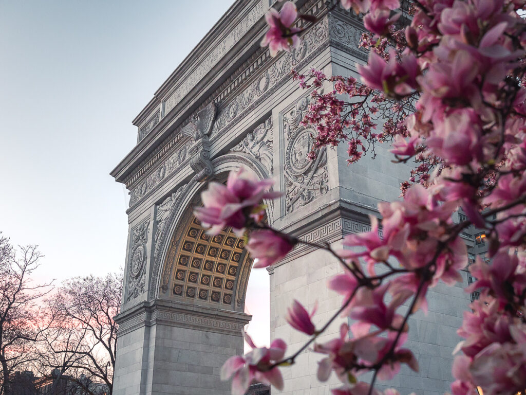 Washington Square Park is a must visit to see cherry blossoms in NYC.