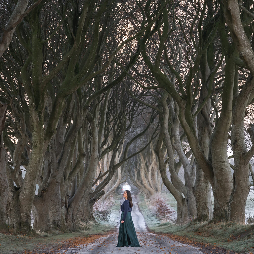 The main show of my Ireland 5 day itinerary was a trip to The main show of this trip was The Dark Hedges in Northern Ireland.