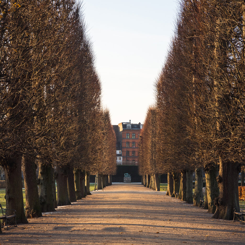 Walk around Rosenborg Castle's King's Garden since it's a free activity in Copenhagen.