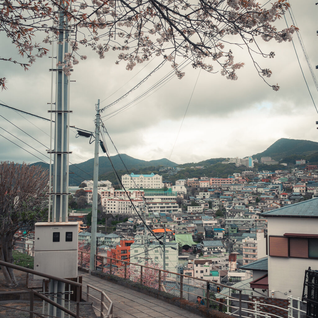 View of Nagasaki with some cherry blossoms.