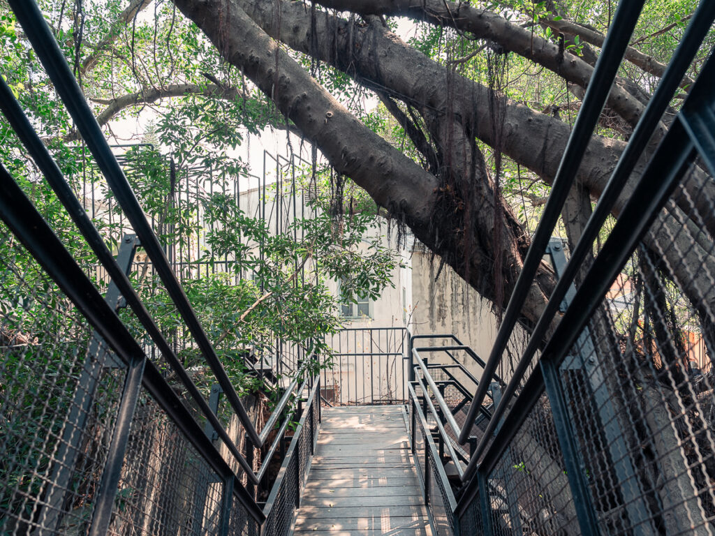 Stairs throughout the Anping Tree House to navigate the banyan trees.